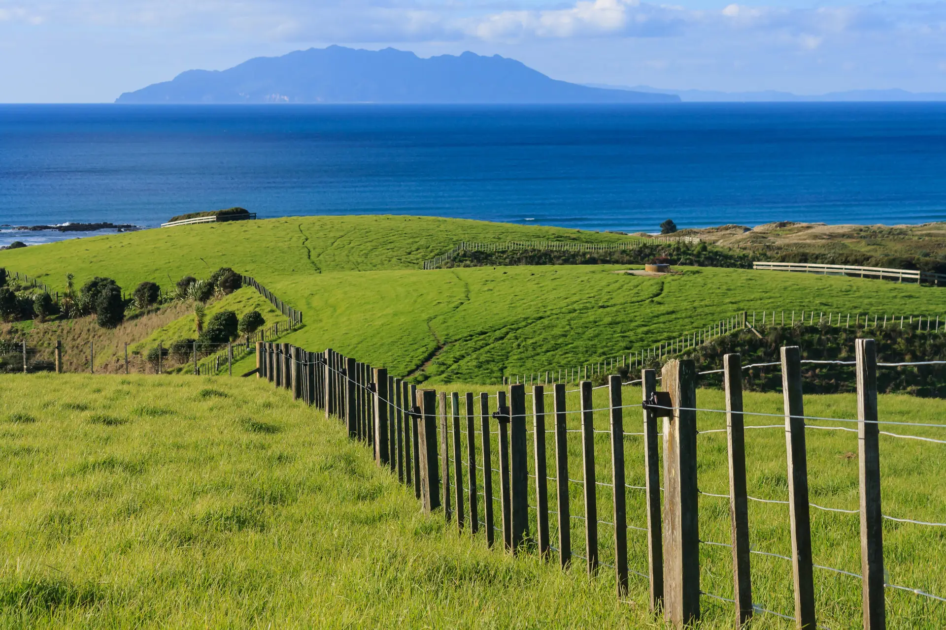 New Zealand rolling farmland coast